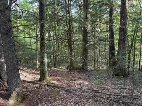 14-189 Seminole Rd, Hillsborough, NH 03244