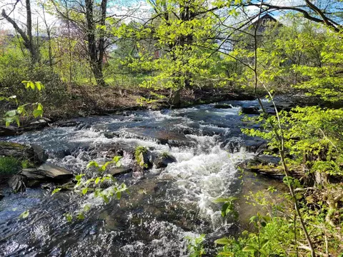 59 Egg St, Pawlet, VT 05775