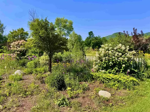 Exterior - 355 Websterville Rd, Orange, VT 05641 photo 10 of 21
