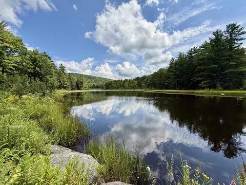 View/Area - 3536 Plot Rd, Johnson, VT 05656 photo 5 of 11