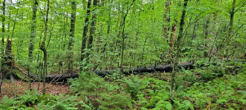 00 Heartwellville View Rd #38, Readsboro, VT 05350
