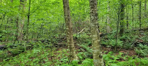 00 Heartwellville View Rd #39, Readsboro, VT 05350
