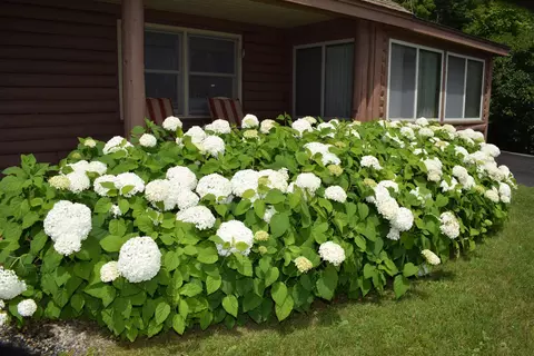 Other - 2155 Fellows Rd, Guildhall, VT 05905 photo 4 of 14