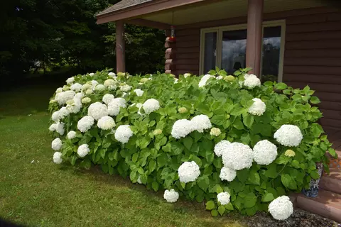 Exterior - 2155 Fellows Rd, Guildhall, VT 05905 photo 5 of 23