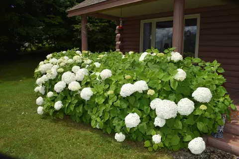 Other - 2155 Fellows Rd, Guildhall, VT 05905 photo 3 of 14