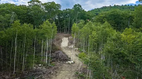 10-26 10 Frohock Brook Rd, Alton, NH 03810