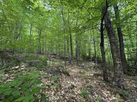 0 Old Pond Hill Rd, Lunenburg, VT 05906 photo 26
