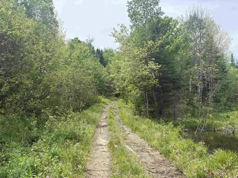 0 Old Pond Hill Rd, Lunenburg, VT 05906 photo 41