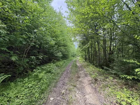 0 Old Pond Hill Rd, Lunenburg, VT 05906 photo 36