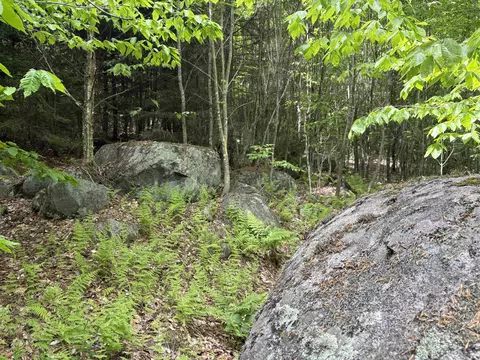 0 Old Pond Hill Rd, Lunenburg, VT 05906 photo 25