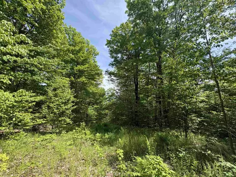 0 Old Pond Hill Rd, Lunenburg, VT 05906 photo 12
