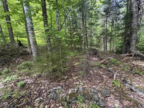0 Old Pond Hill Rd, Lunenburg, VT 05906 photo 21