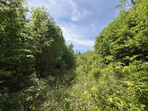 0 Old Pond Hill Rd, Lunenburg, VT 05906 photo 18