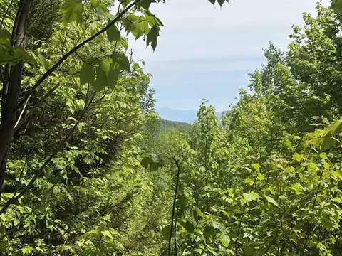 0 Old Pond Hill Rd, Lunenburg, VT 05906 photo 16