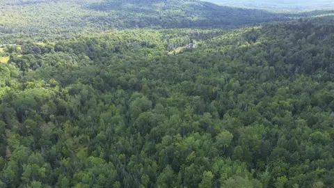 0 Old Pond Hill Rd, Lunenburg, VT 05906 photo 52