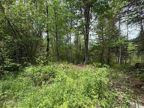 0 Old Pond Hill Rd, Lunenburg, VT 05906 photo 37