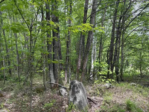 0 Old Pond Hill Rd, Lunenburg, VT 05906 photo 32