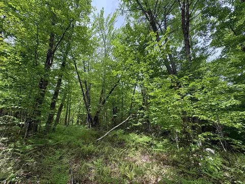 0 Old Pond Hill Rd, Lunenburg, VT 05906 photo 31