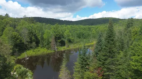0 Old Pond Hill Rd, Lunenburg, VT 05906 photo 44