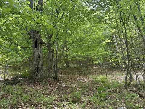 0 Old Pond Hill Rd, Lunenburg, VT 05906 photo 24