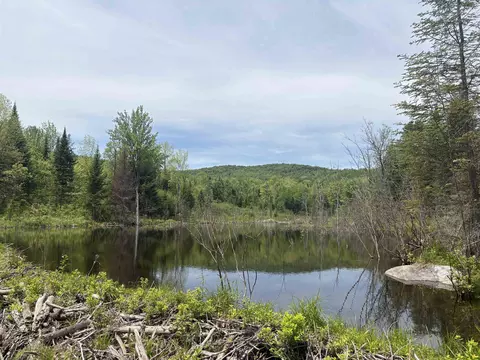 0 Old Pond Hill Rd, Lunenburg, VT 05906 photo 40