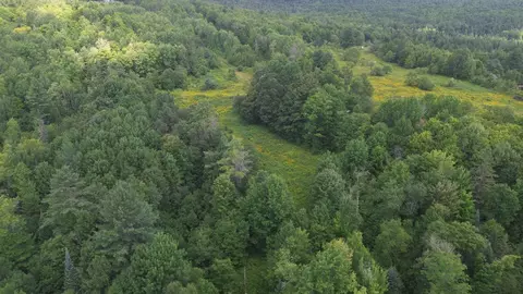 0 Old Pond Hill Rd, Lunenburg, VT 05906 photo 54