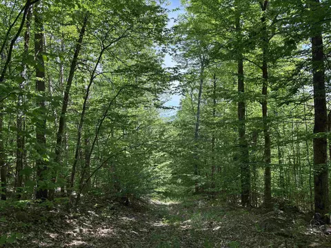 0 Old Pond Hill Rd, Lunenburg, VT 05906 photo 11