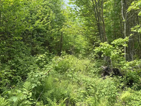 0 Old Pond Hill Rd, Lunenburg, VT 05906 photo 22