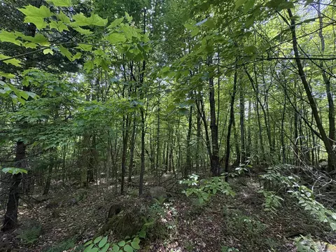 0 Old Pond Hill Rd, Lunenburg, VT 05906 photo 14