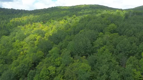 0 Old Pond Hill Rd, Lunenburg, VT 05906 photo 58