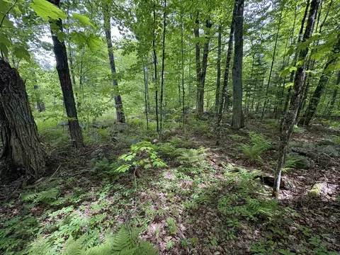 0 Old Pond Hill Rd, Lunenburg, VT 05906 photo 29