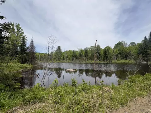 0 Old Pond Hill Rd, Lunenburg, VT 05906 photo 38