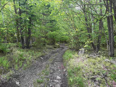 0 Old Pond Hill Rd, Lunenburg, VT 05906 photo 33