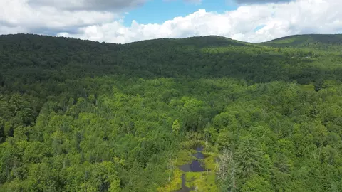 0 Old Pond Hill Rd, Lunenburg, VT 05906 photo 46
