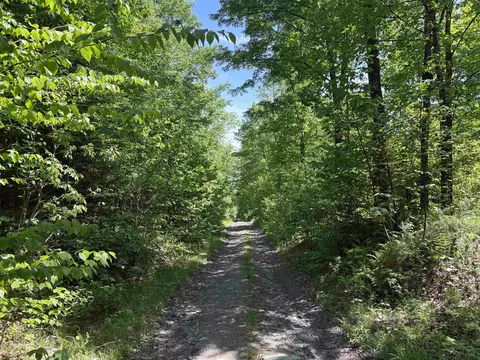 0 Old Pond Hill Rd, Lunenburg, VT 05906 photo 4