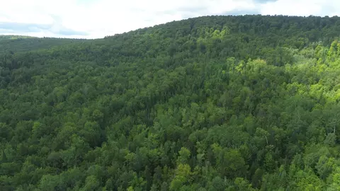 0 Old Pond Hill Rd, Lunenburg, VT 05906 photo 60