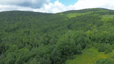 0 Old Pond Hill Rd, Lunenburg, VT 05906 photo 56