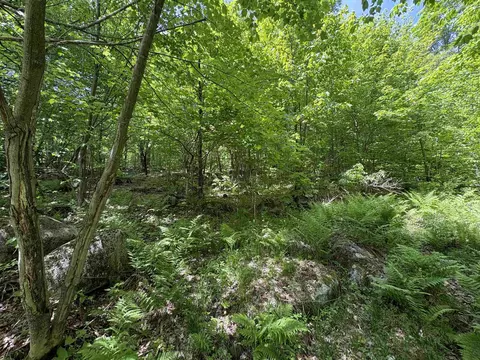 0 Old Pond Hill Rd, Lunenburg, VT 05906 photo 15
