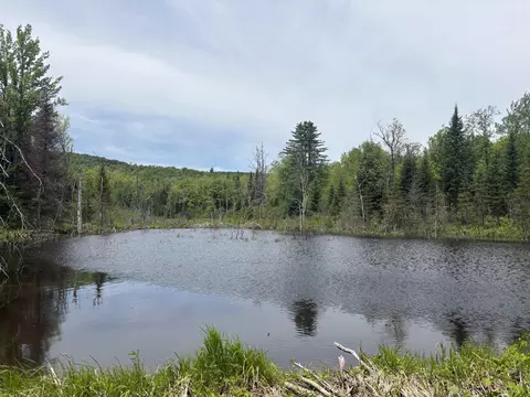 0 Old Pond Hill Rd, Lunenburg, VT 05906 photo 39