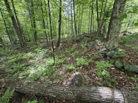 0 Old Pond Hill Rd, Lunenburg, VT 05906 photo 30