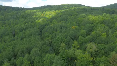 0 Old Pond Hill Rd, Lunenburg, VT 05906 photo 57