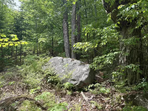 0 Old Pond Hill Rd, Lunenburg, VT 05906 photo 28