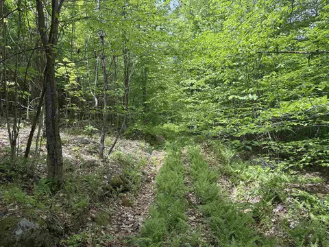 0 Old Pond Hill Rd, Lunenburg, VT 05906 photo 23
