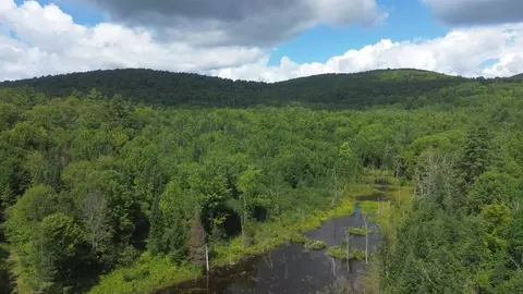 0 Old Pond Hill Rd, Lunenburg, VT 05906 photo 45