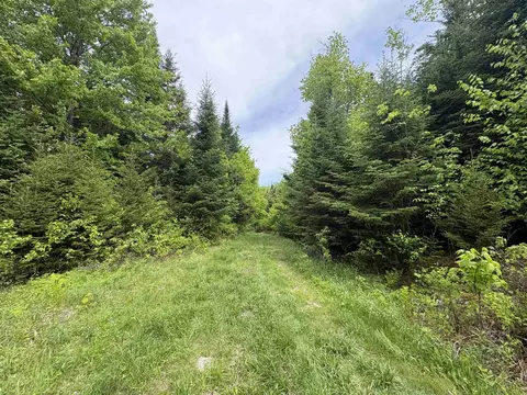 0 Old Pond Hill Rd, Lunenburg, VT 05906 photo 34