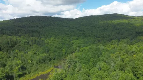 0 Old Pond Hill Rd, Lunenburg, VT 05906 photo 47