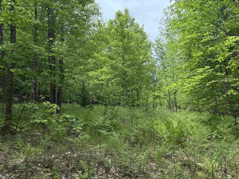 0 Old Pond Hill Rd, Lunenburg, VT 05906 photo 27