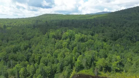 0 Old Pond Hill Rd, Lunenburg, VT 05906 photo 48