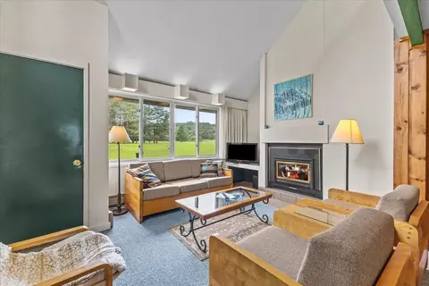 185 Village Green Dr #8A WEEK D, Stowe, VT 05672