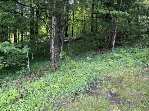Exterior - 160 Grove Rd, Barnard, VT 05031 photo 6 of 9